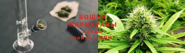 гидра Корсаков