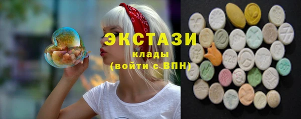гидра Корсаков