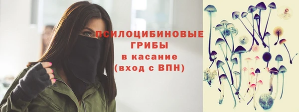 гидра Корсаков
