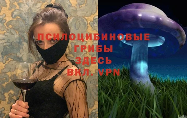 MDMA Premium VHQ Коряжма