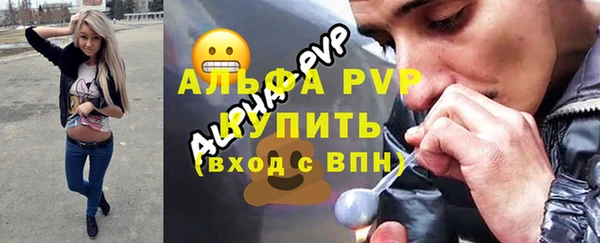 гидра Корсаков