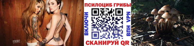 Псилоцибиновые грибы мицелий  закладки  Чулым 